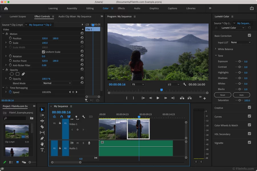 Ukázka workflow v aplikaci pro úpravu videí Premiere Pro, který je oblíbenou volbou mezi editory videa. Zdroj: fileinfo.com